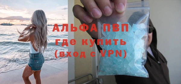 apvp Новозыбков